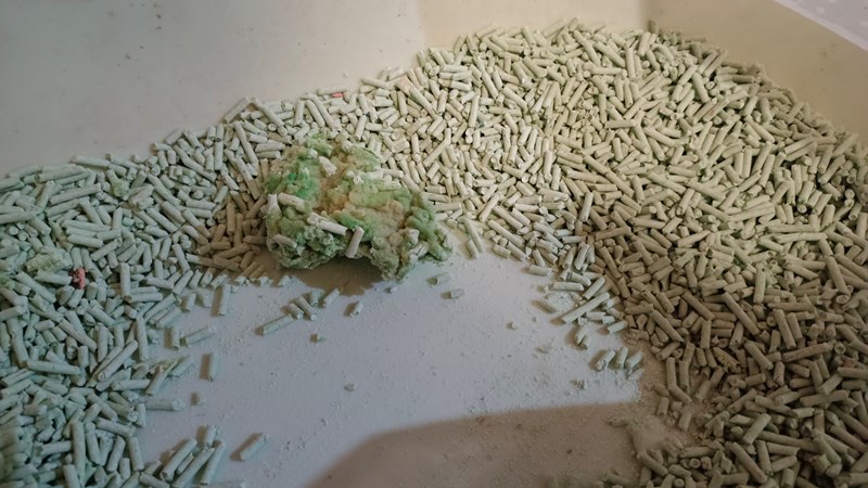 女人知己試用大隊,口碑行銷,部落客行銷,PurreLand 倍淨豆腐貓砂,好市多購買,COSTCO購買,豆腐貓砂,PurreLand倍淨,低粉塵,易清理,可沖馬桶,提供絕佳的除臭與凝結力,豆腐貓砂評價,貓砂評價,使用心得,貓砂分享,好用,原味,綠茶,豆腐砂,水量需完全覆蓋貓砂,水量需貓砂的2~3倍以上,豆腐砂評價,高CP值,划算